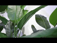 Roterende sectie video