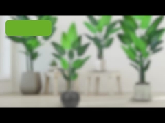 Nep Reizigerspalm (paradijsvogelpalm) - 180cm/200cm Realistisch PE Blad Kunstmatig Pl