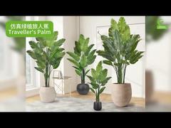 Kunstmatige Reizigerspalm met Realistische Bladranden 160cm 180cm | Levensechte Kunstmatige Paradijsvogelbloem