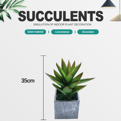 Indoor Decor Artificial Succulent Plant No Nursing Evergreen Four Seasons 50cm Bespoke Bonsai For Hotel Table