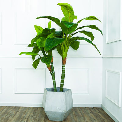 Dieffenbachia Artificial Landscape Plants Anti UV Evergreen Looking Natural Faux Tree