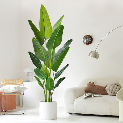 Artificial Bird of Paradise Plant Indoor - Wholesale Realistic Fake Palm Trees Manufacturer Direct
