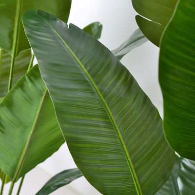 Artificial Bird of Paradise Plant Indoor - Wholesale Realistic Fake Palm Trees Manufacturer Direct