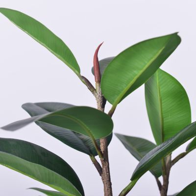 Indoor Outdoor Decor Fake Tree In Pot Plastic Plants Artificial Tree Faux Rubber Tree​ For Home Decor Office Living Room