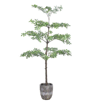 Artificial Terminalia Tree 180cm 260cm 320cm | Large Faux Tree for Hotel & Commercial Landscaping | Indoor Outdoor Decor