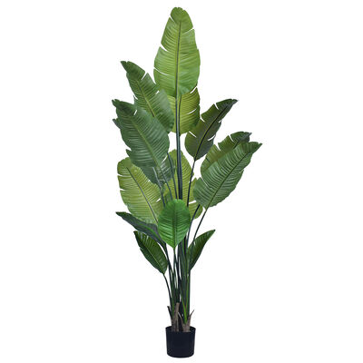 Artificial Travelers Palm with Realistic Brown Leaf Edges 160cm 180cm | Lifelike Faux Bird of Paradise Plant for Decor