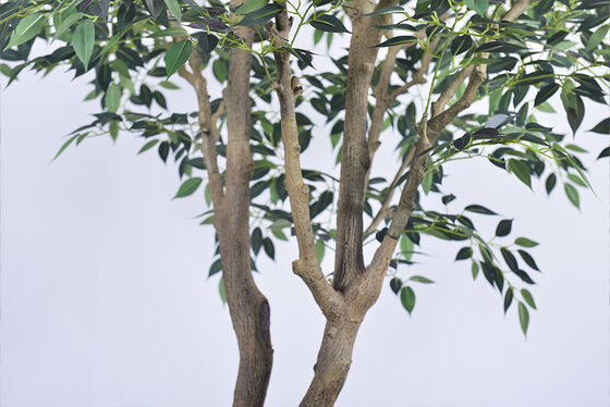 Lifelike Artificial Mini Ficus Tree - Artistic Trunk in 7.5FT/9.2FT, Low Maintenance for Luxury Spa & Restaurant Interior Design