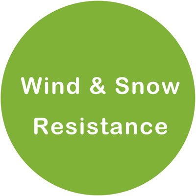 Wind And Snow Resistance Certification Artificial Ficus Tree