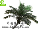 Allen kruiden 400cm Hoogte Kunstmatige Tropische Boom, Grote Kunstmatige Openlucht Duurzame Bomen