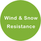 Wind en Sneeuwweerstands Certificatie Kunstmatige Ficusboom