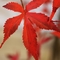 Hoogte 180cm de Kunstmatige Ingemaakte Bonsai Autumn Red Maple Tree van Vloerinstallaties