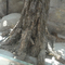 350cm Hoogte Kunstmatig Lucky Tree Potted Landscaping Plants