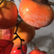 Anti Langzaam verdwijnende Kunstmatige van het de Boomhuis van het Dadelpruim Rode Fruit de Desktop Zachte Decoratie