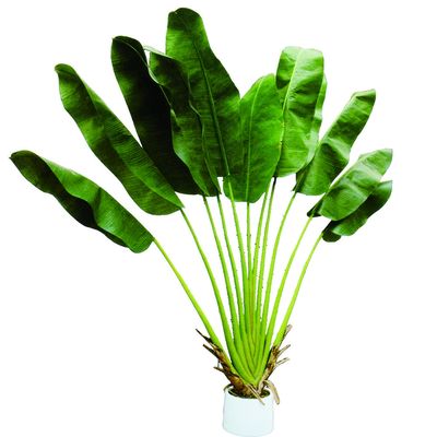 Factory Price New Designs Customized Artificial Potted Traveller Palm Faux Trees BIRD OF PARADISE  Artificial Bonsai