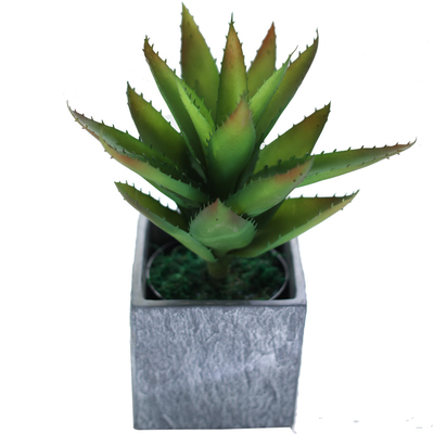 Indoor Decor Artificial Succulent Plant No Nursing Evergreen Four Seasons 50cm Bespoke Bonsai For Hotel Table