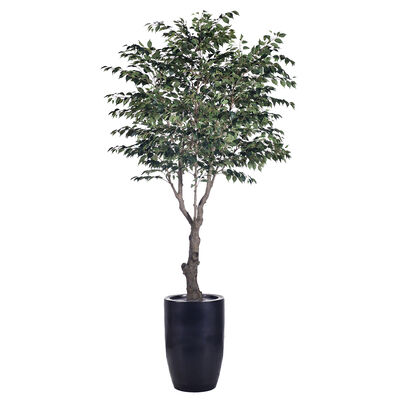 Grote 280 cm 250 cm Anti-ultraviolet Grote valse planten Banyan boom Bonsai plant Plastic tuinvoorzieningen voor de tuin