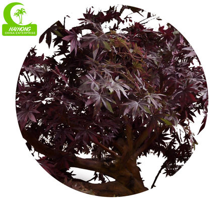 350cm Artificial Landscape Trees , Fake Maple Tree All Season