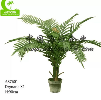 Fire Proof 150cm Height Artificial Drynaria Tree Real Wooden Trunk